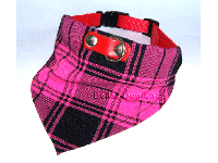 bitte darauf klicken